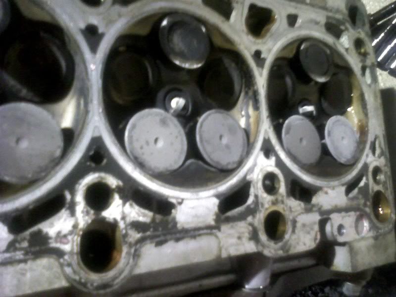 Name:  PIC-0050_1.jpg
Views: 37
Size:  61.3 KB