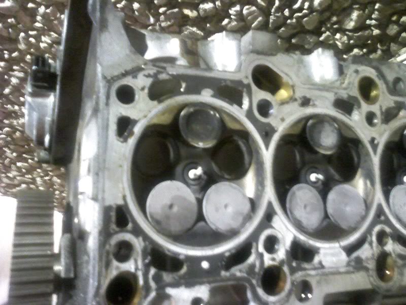 Name:  PIC-0051_1.jpg
Views: 40
Size:  79.4 KB