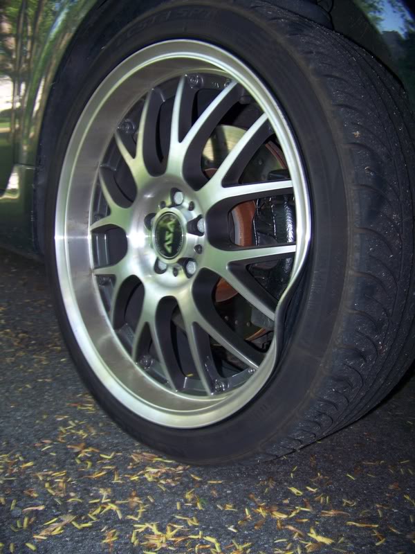 Name:  100_1646.jpg
Views: 95
Size:  100.0 KB