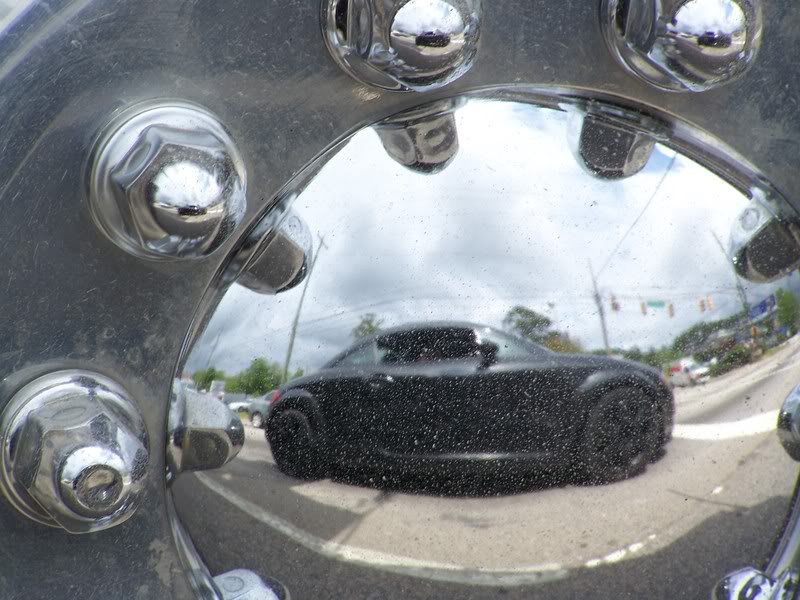 Name:  100_0509.jpg
Views: 57
Size:  100.1 KB