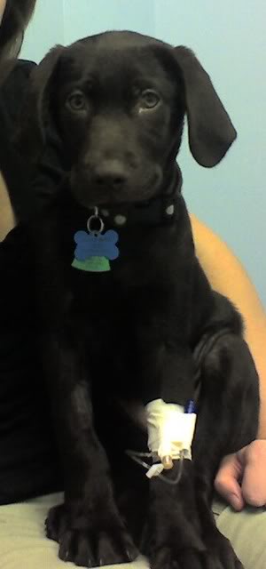 Name:  Photo_091907_002.jpg
Views: 37
Size:  17.9 KB