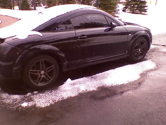 Name:  0316081218.jpg
Views: 219
Size:  70.7 KB