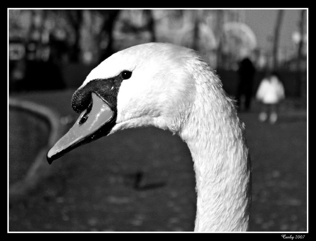 Name:  3aa6dcdc.jpg
Views: 59
Size:  96.4 KB