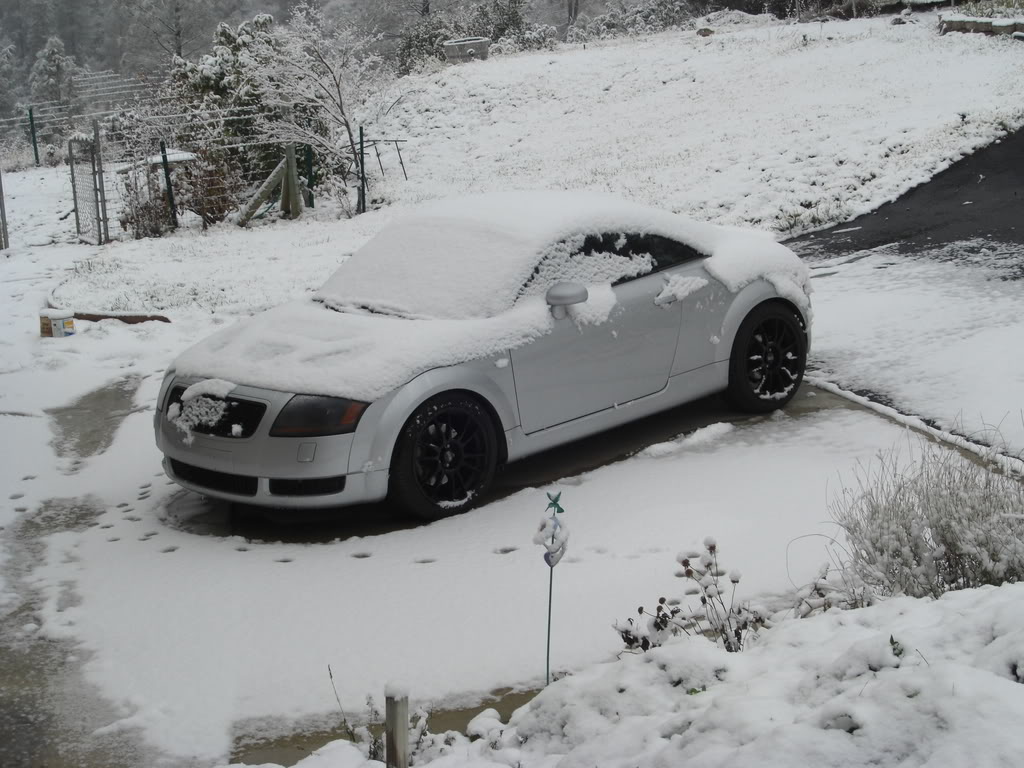 Name:  CIMG0715.jpg
Views: 51
Size:  169.7 KB