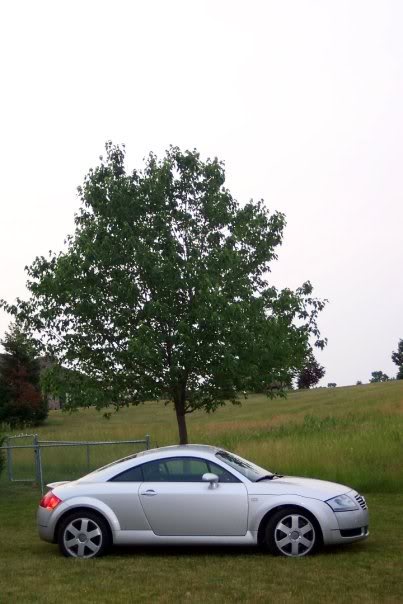 Name:  n521530499_1835099_7884.jpg
Views: 258
Size:  43.9 KB