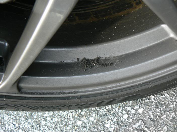 Name:  mtnrun003.jpg
Views: 21
Size:  76.2 KB