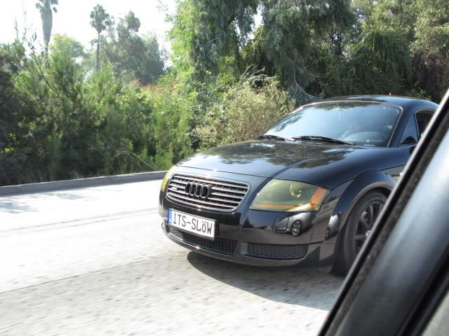 Name:  IMG_7224.jpg
Views: 44
Size:  79.4 KB