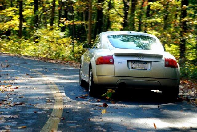 Name:  04600005.jpg
Views: 63
Size:  65.1 KB