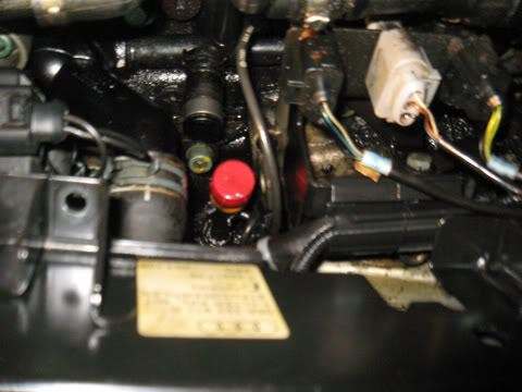 Name:  IMG_1167.jpg
Views: 141
Size:  34.7 KB