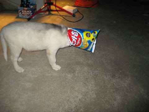 Name:  IMG_1141.jpg
Views: 23
Size:  31.7 KB