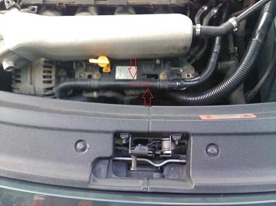 What is this hose?-what-hose.jpg