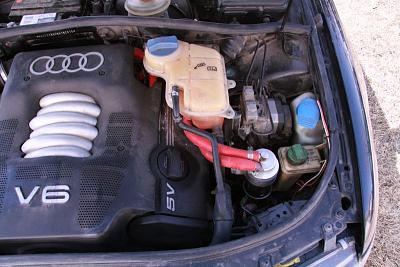 Ripped tubing under engine cover?-audi2.8-catch-can.jpg