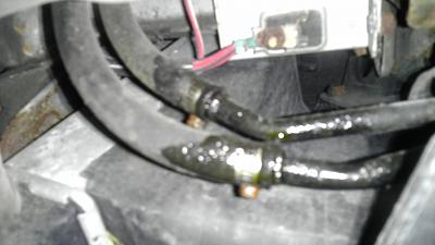 leaking oil :(-imag0159.jpg