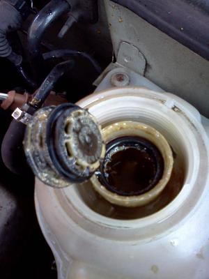 maybe a headgasket? or mixed coolant?-img_20111112_132028.jpg