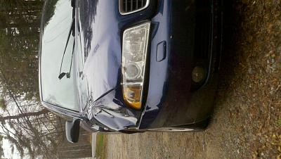 b5's good for hunting!-deer.jpg