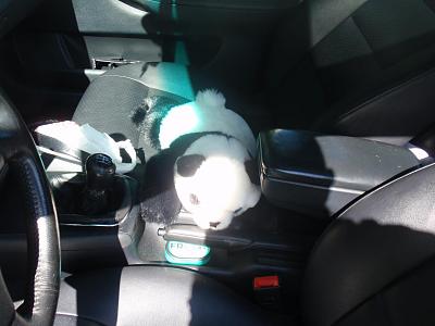 Who's Feelin Meat This Time??-059.jpg