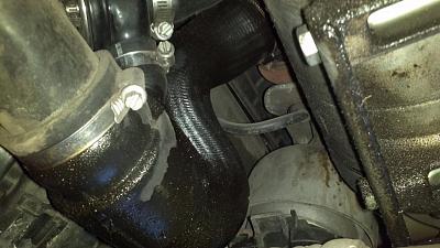 What else should I do during a timing belt job?-1.jpg