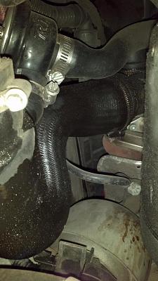 What else should I do during a timing belt job?-2.jpg