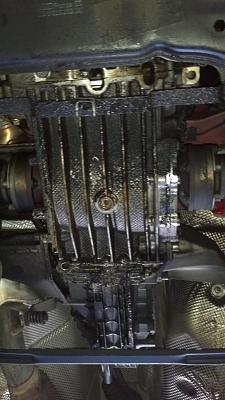 What else should I do during a timing belt job?-5_resize.jpg