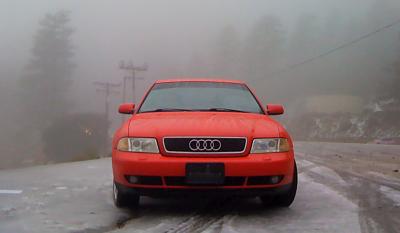 What else should I do during a timing belt job?-img_0510.jpg