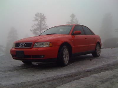 What else should I do during a timing belt job?-img_0509.jpg