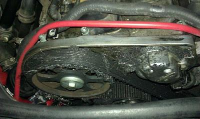 What else should I do during a timing belt job?-imagejpeg_2.jpg