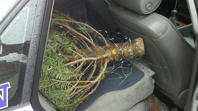 What did you do to your B5 today?-2011-12-10_14-18-47_628-1.jpg