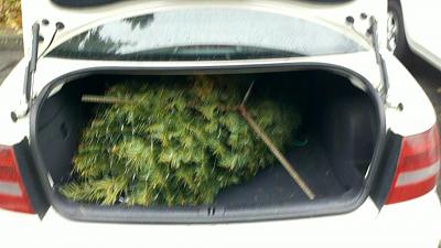 What did you do to your B5 today?-2011-12-10_14-18-39_8.jpg