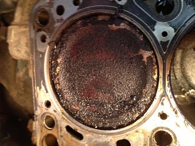Head rebuild-img_1263.jpg