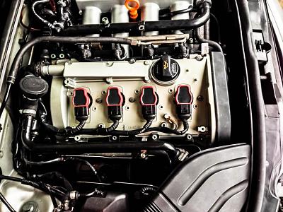 Let's see those engine bays-photo-4-1.jpg