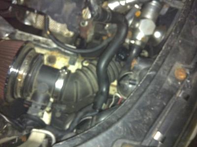 BOV removal HELP-img_0230.jpg