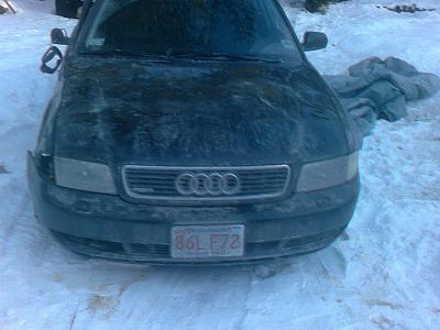 Very sad-img_0299.jpg