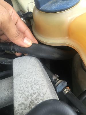 Engine light just turned on-photo868.jpg