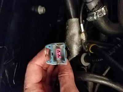 Help Identify Connector-20170317_155039.jpg