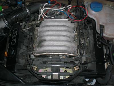 My new 1997 Audi A4 Quattro 2.8L-cimg6560.jpg