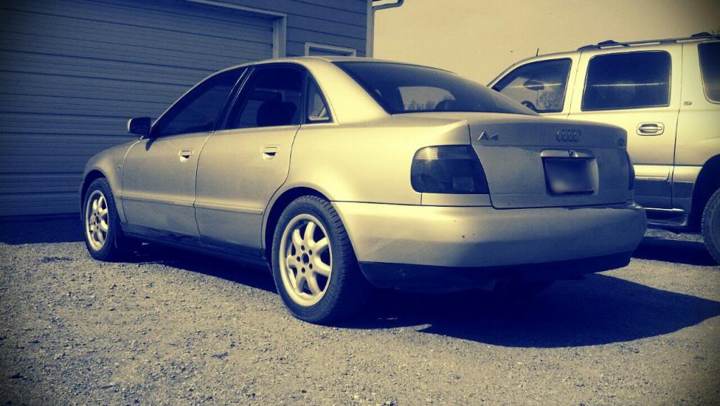 Name:  322555_465531363479037_558266382_o_zpsd4076c7d.jpg
Views: 22
Size:  90.9 KB