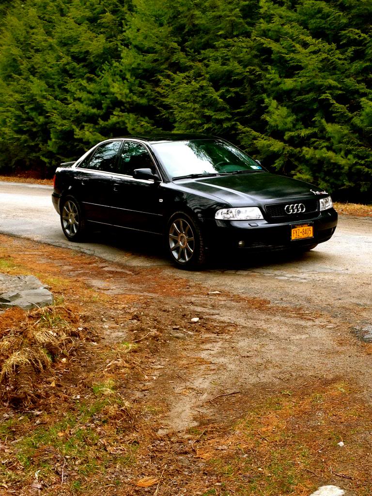 Name:  SHELBYWHEELS_zps502d6ef9.jpg
Views: 448
Size:  207.1 KB