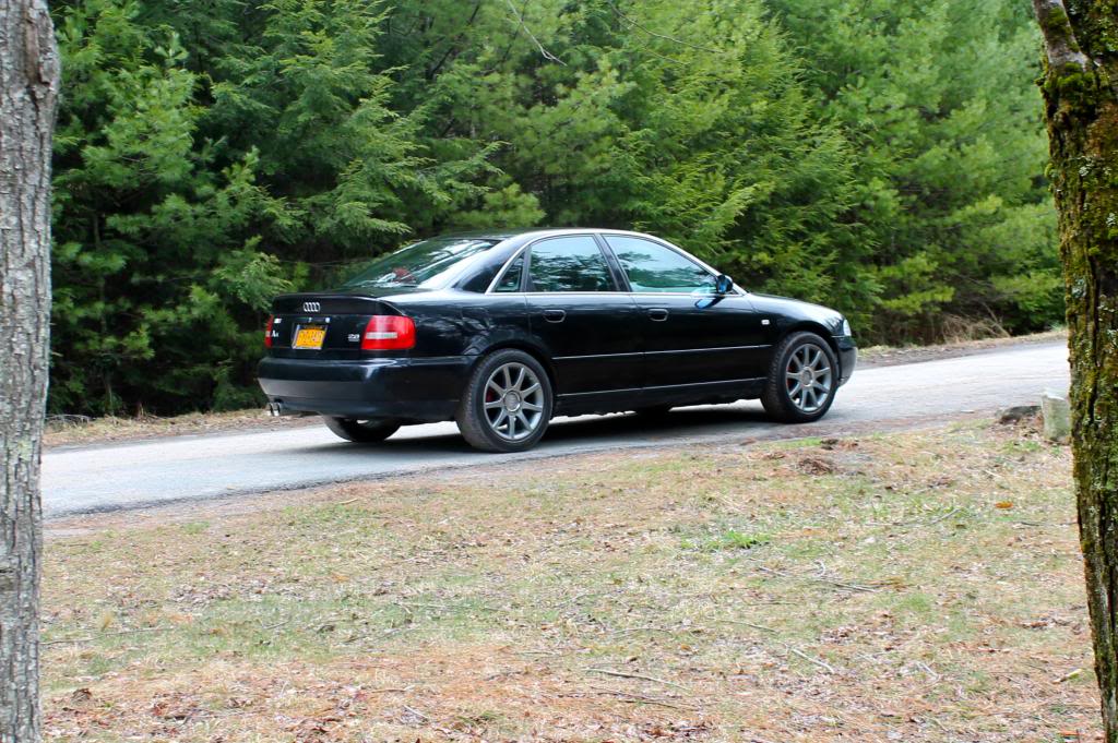 Name:  ShelbyNewWheels_zpse5562123.jpg
Views: 837
Size:  159.2 KB
