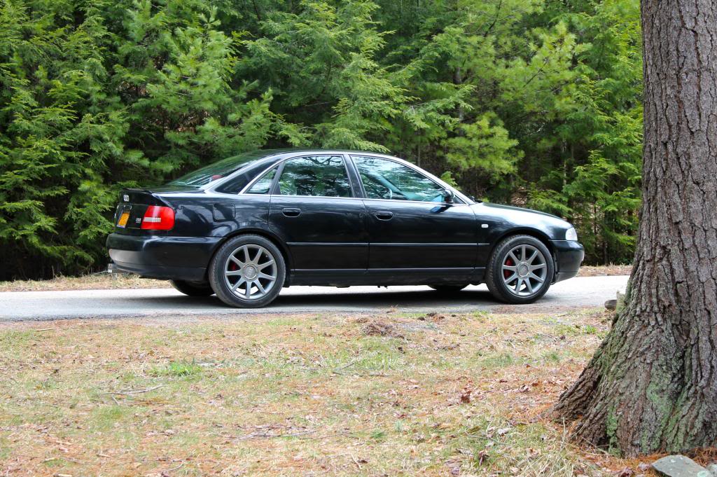 Name:  shelbynewwheels2_zpsfd32cf2c.jpg
Views: 823
Size:  180.5 KB