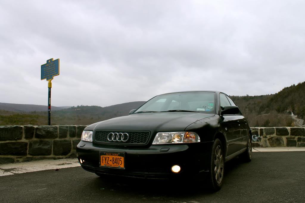 Name:  ShelbyHawksNest2_zps2ce2b0bf.jpg
Views: 1241
Size:  56.8 KB