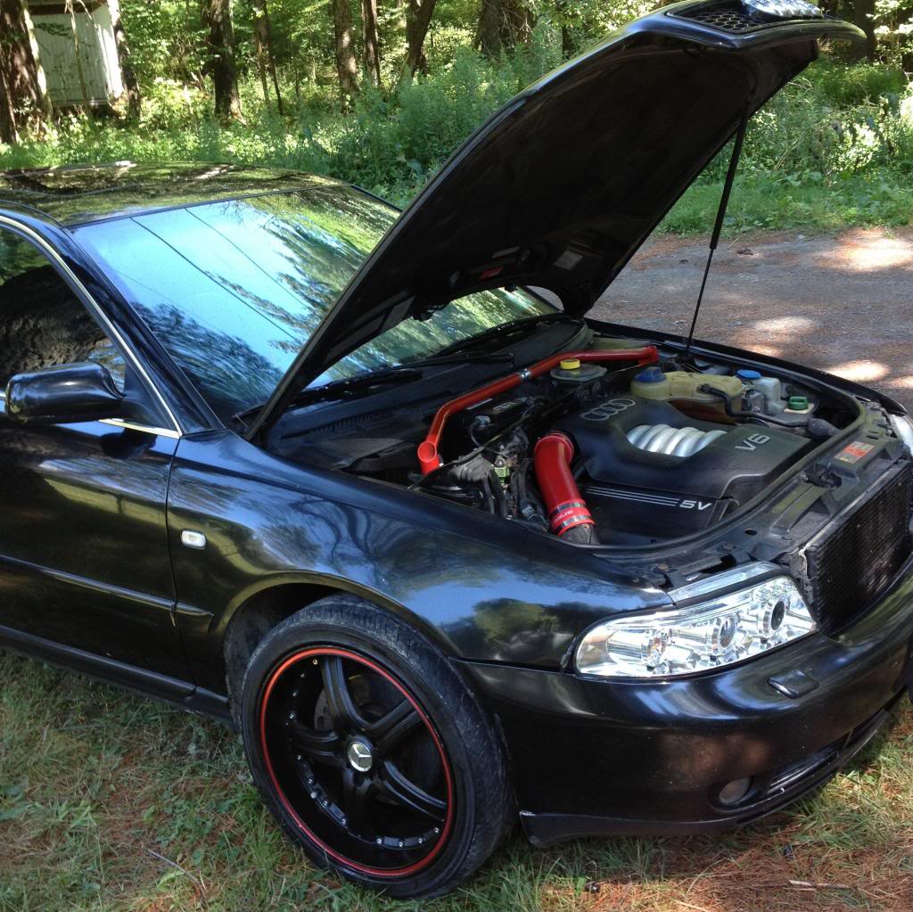 Name:  2000audienginebayside_zps4768da40.jpg
Views: 3619
Size:  193.7 KB
