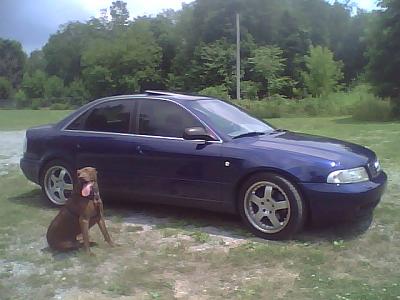 window tinting %'s??-0722081314a.jpg