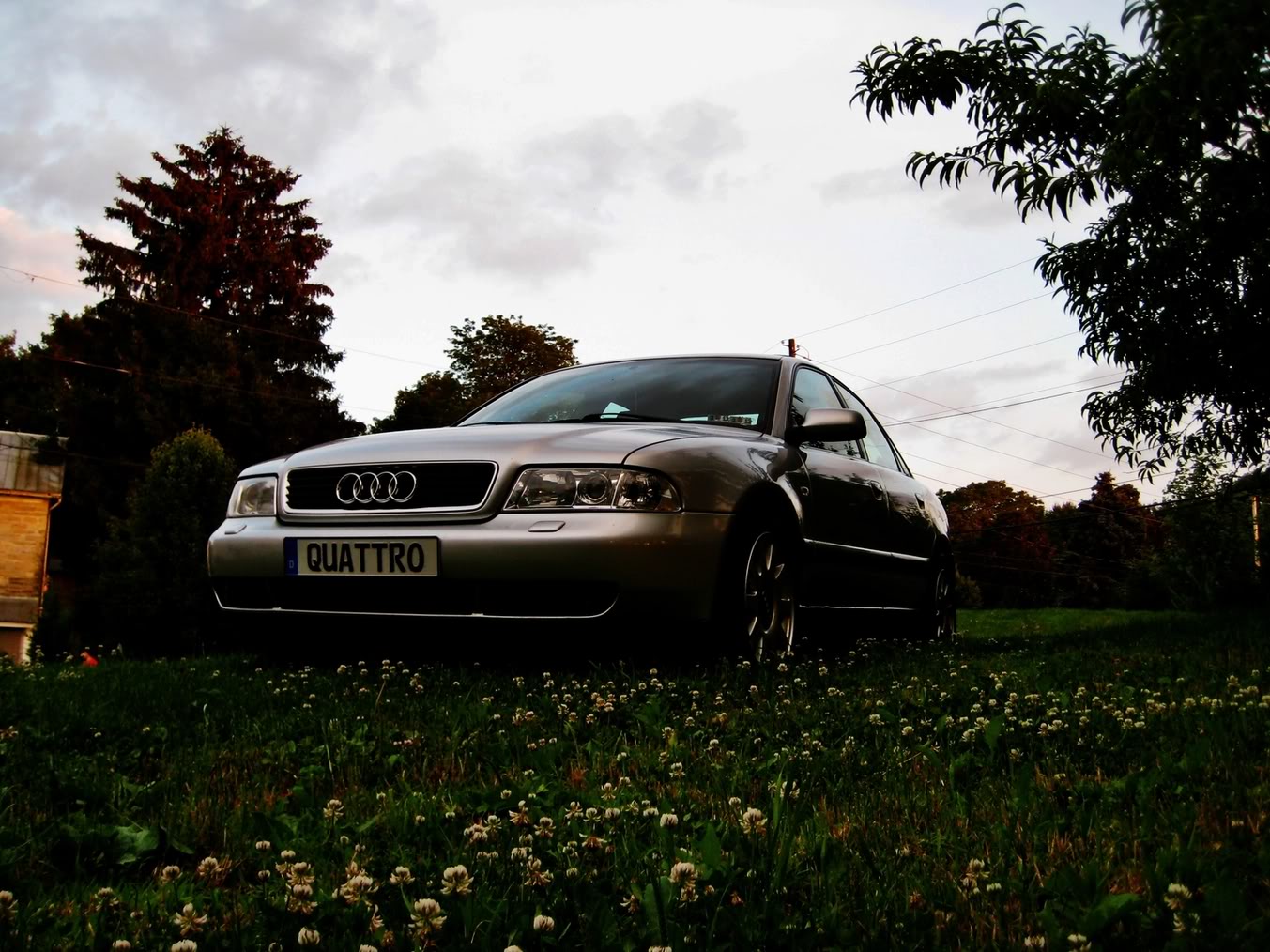 Name:  IMG_4201_e.jpg
Views: 137
Size:  229.9 KB