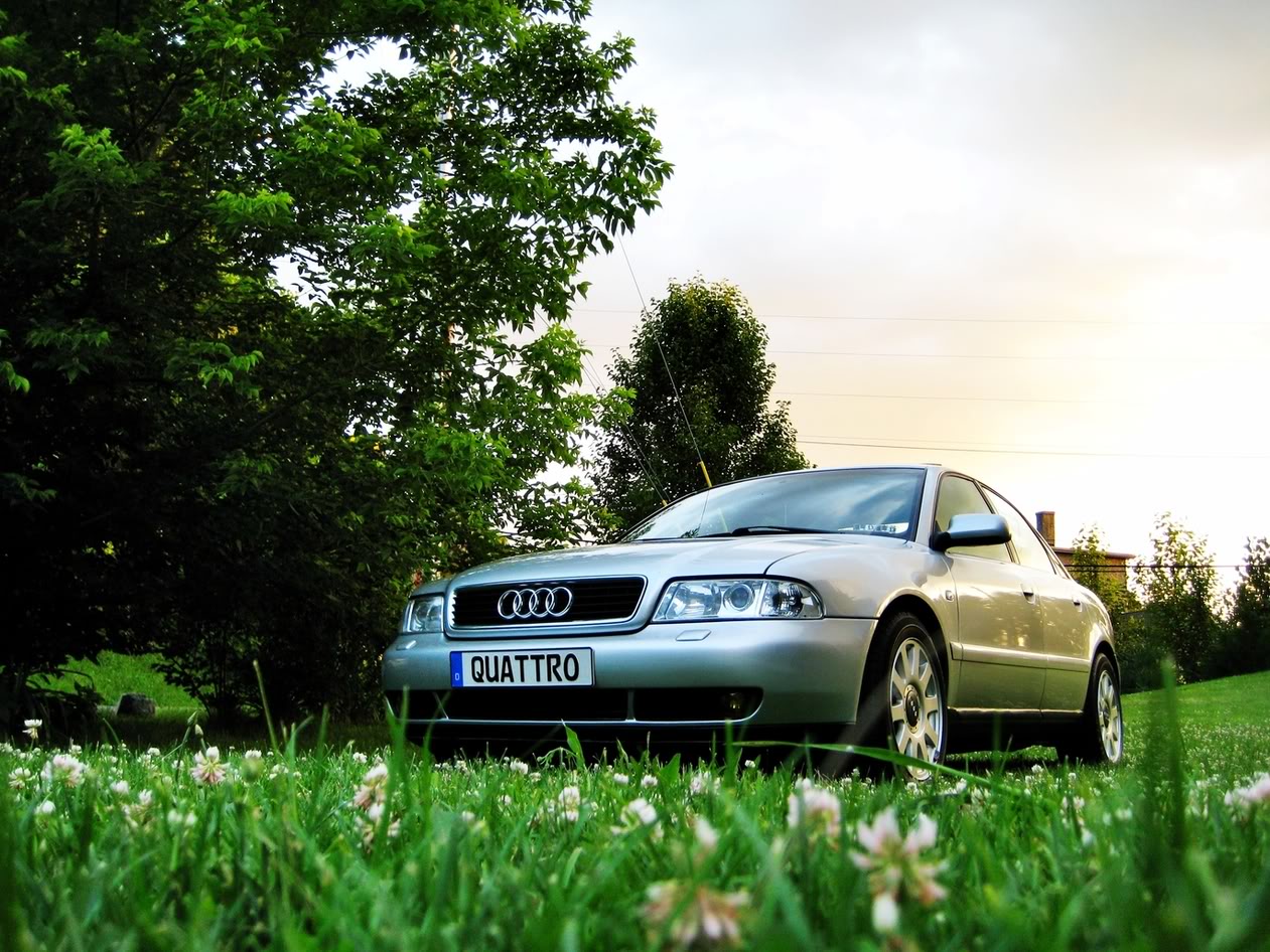 Name:  IMG_4169_e.jpg
Views: 145
Size:  260.7 KB