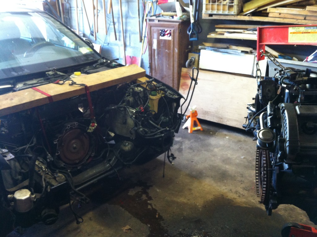 Name:  photo12.jpg
Views: 1952
Size:  215.4 KB