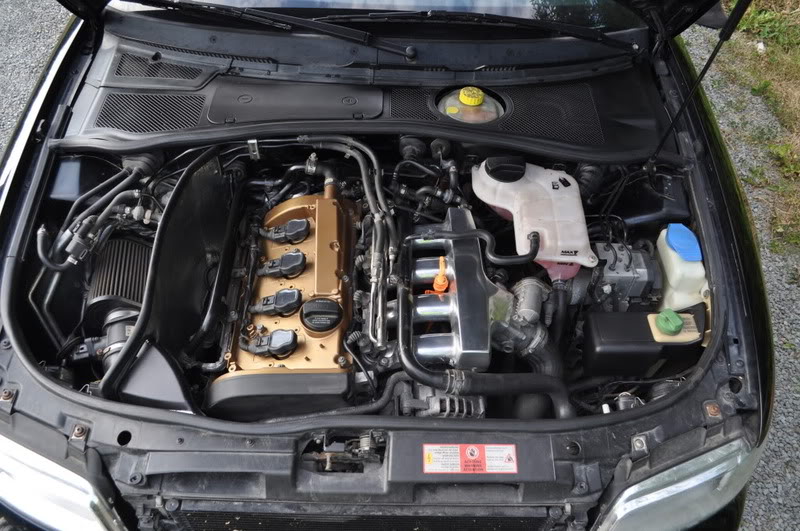 Name:  DSC_0085.jpg
Views: 20
Size:  109.6 KB