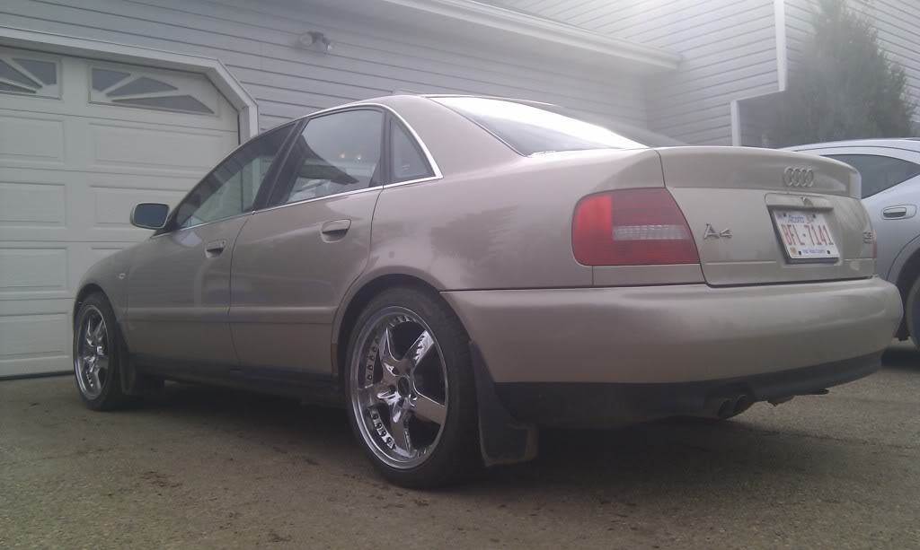 Name:  IMAG0238.jpg
Views: 24
Size:  61.7 KB