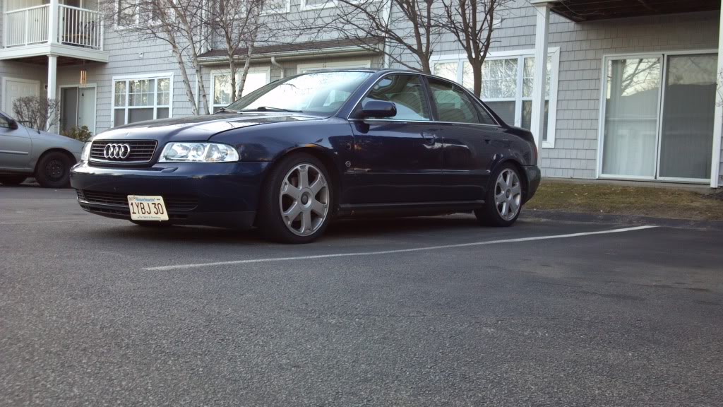 Name:  audilowfront.jpg
Views: 90
Size:  137.7 KB