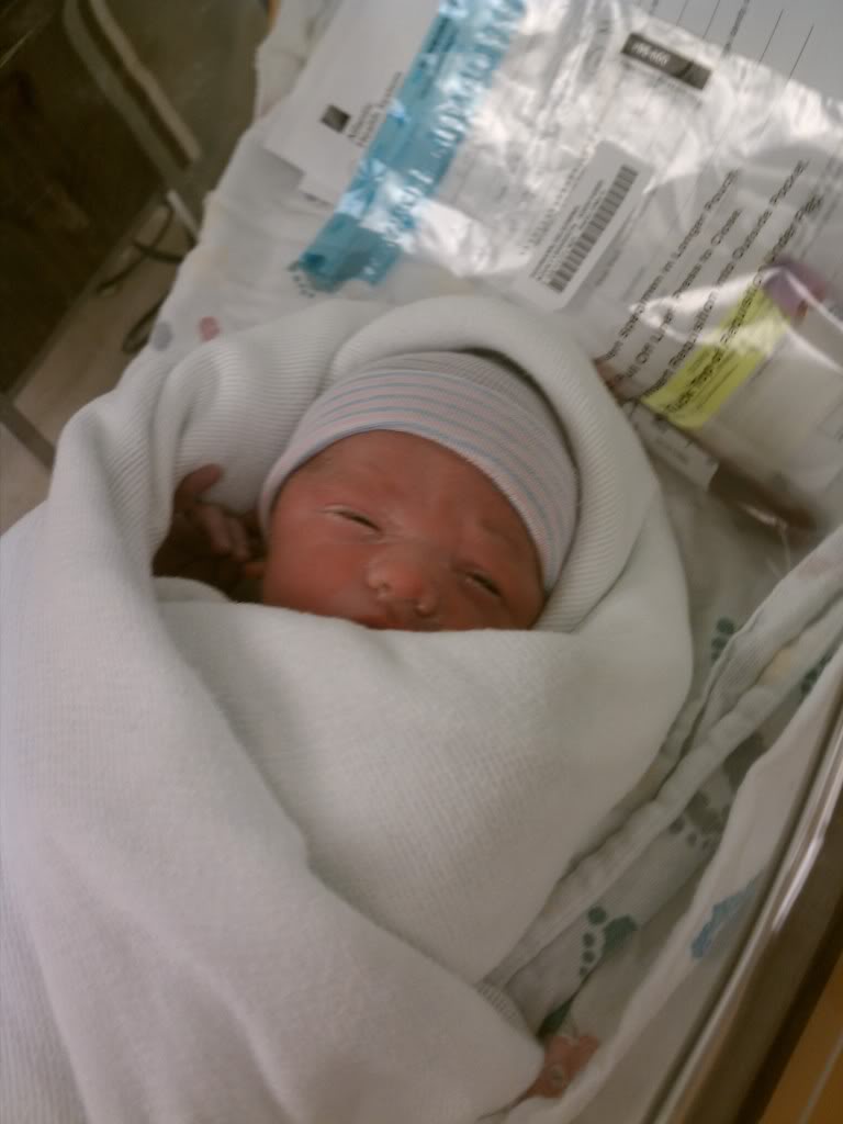 Name:  IMG_20111027_121948.jpg
Views: 64
Size:  53.2 KB