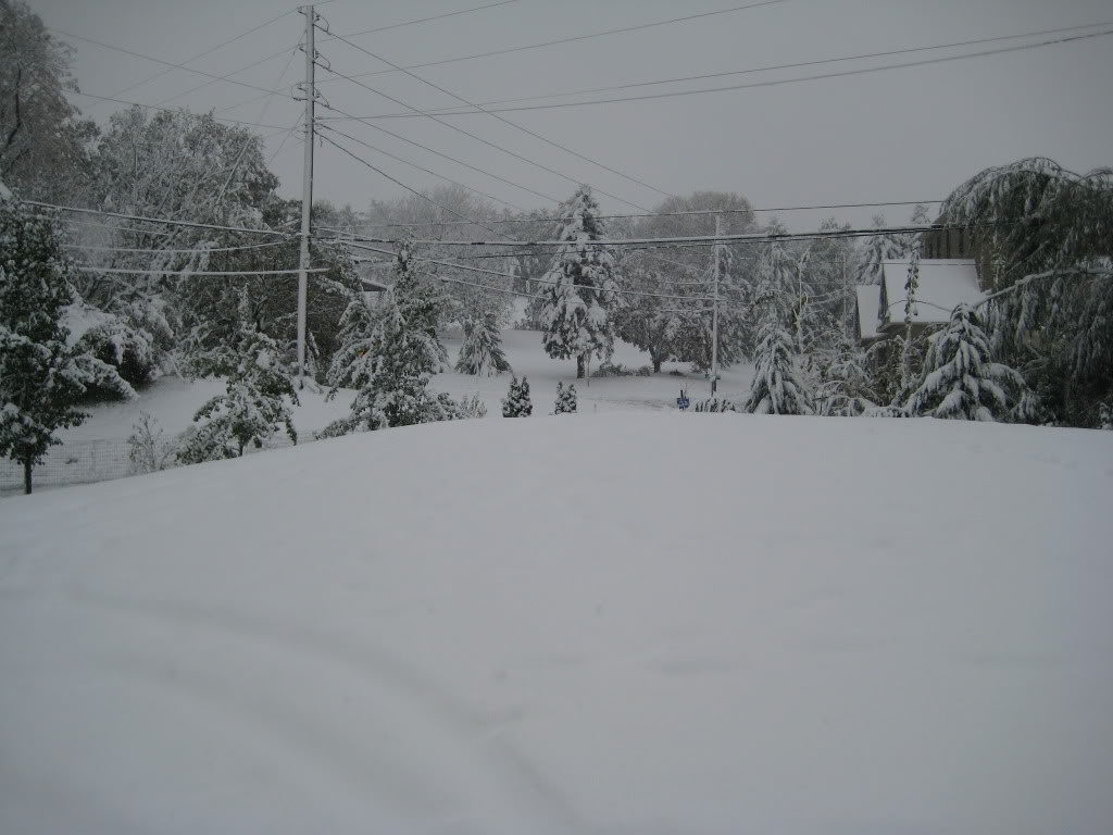 Name:  IMG_3578.jpg
Views: 347
Size:  100.2 KB
